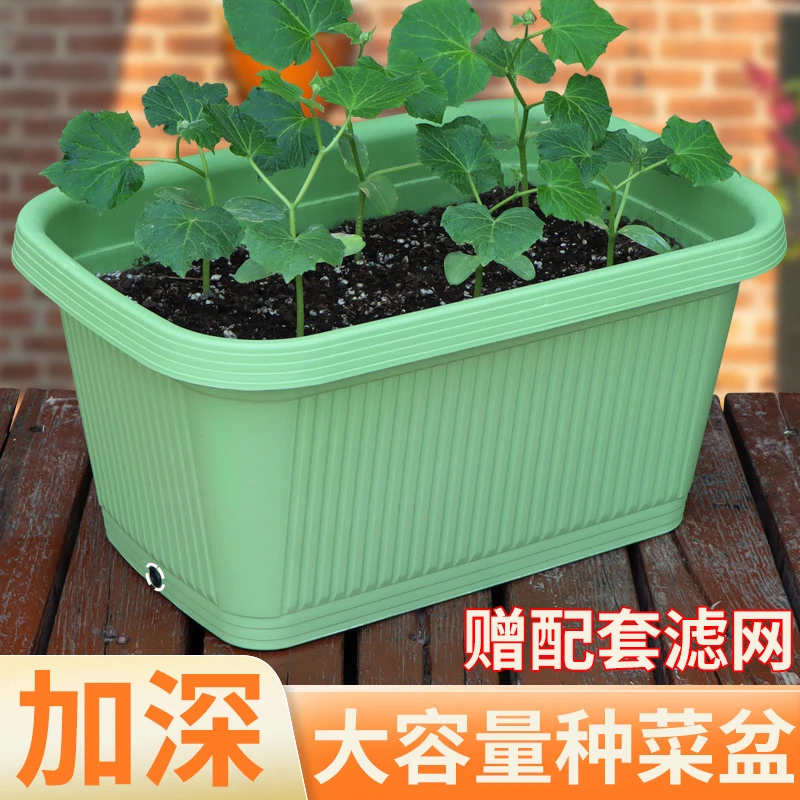 种菜专用盆家庭室内楼顶庭院阳台透气漏水种植箱特大号种菜盆花箱