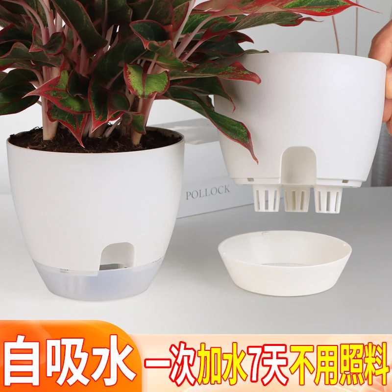 客厅自吸水花盆加厚树脂水培油画吊兰绿萝盆栽半透明简约透气花盆