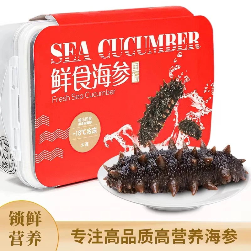 大连国标鲜食海参刺参鲜活捕捉老人孕妇送礼级别佳品独立单只装