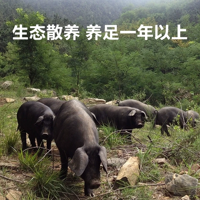乡味跑山猪直播间现称一口价专用链接