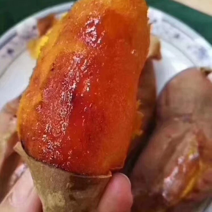 山东威海徐家塂山地流油烟薯25甜蜜薯带箱5斤包邮