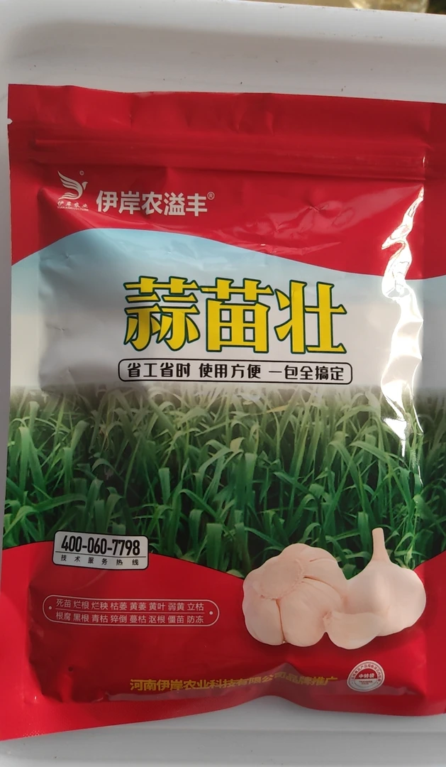 蒜苗壮，大蒜防冻