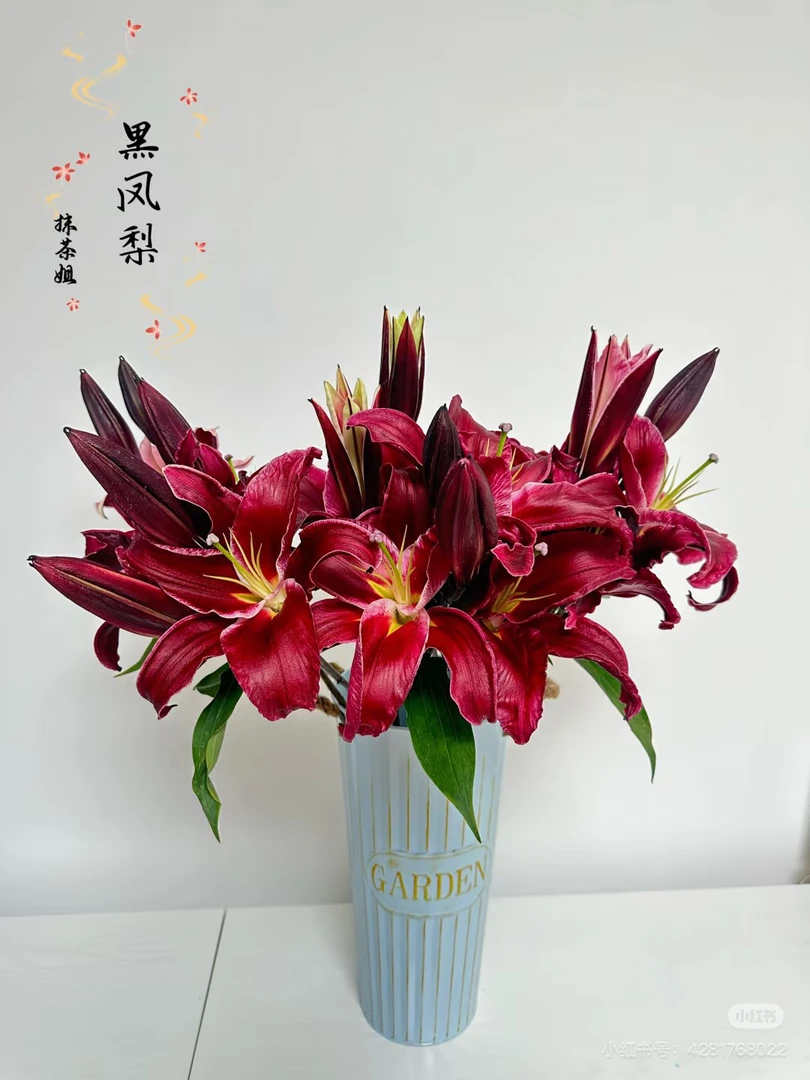 11号不好的黑凤梨百合混头我要买我不售后