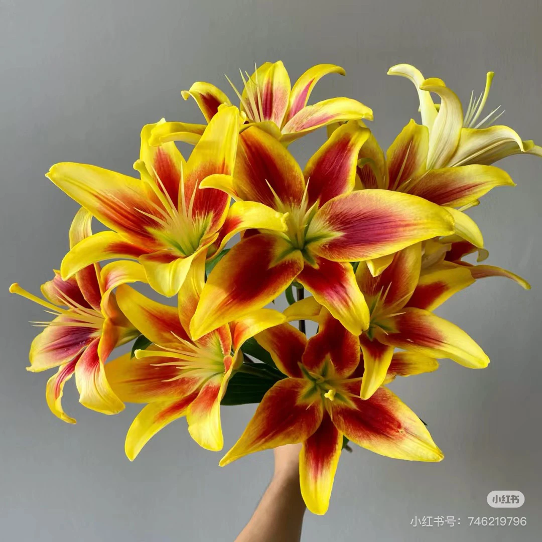 15号皇冠亚百合多头，我要买我不售后