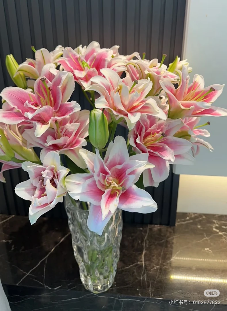 4号皇宫重瓣百合混头，我要买我不售后