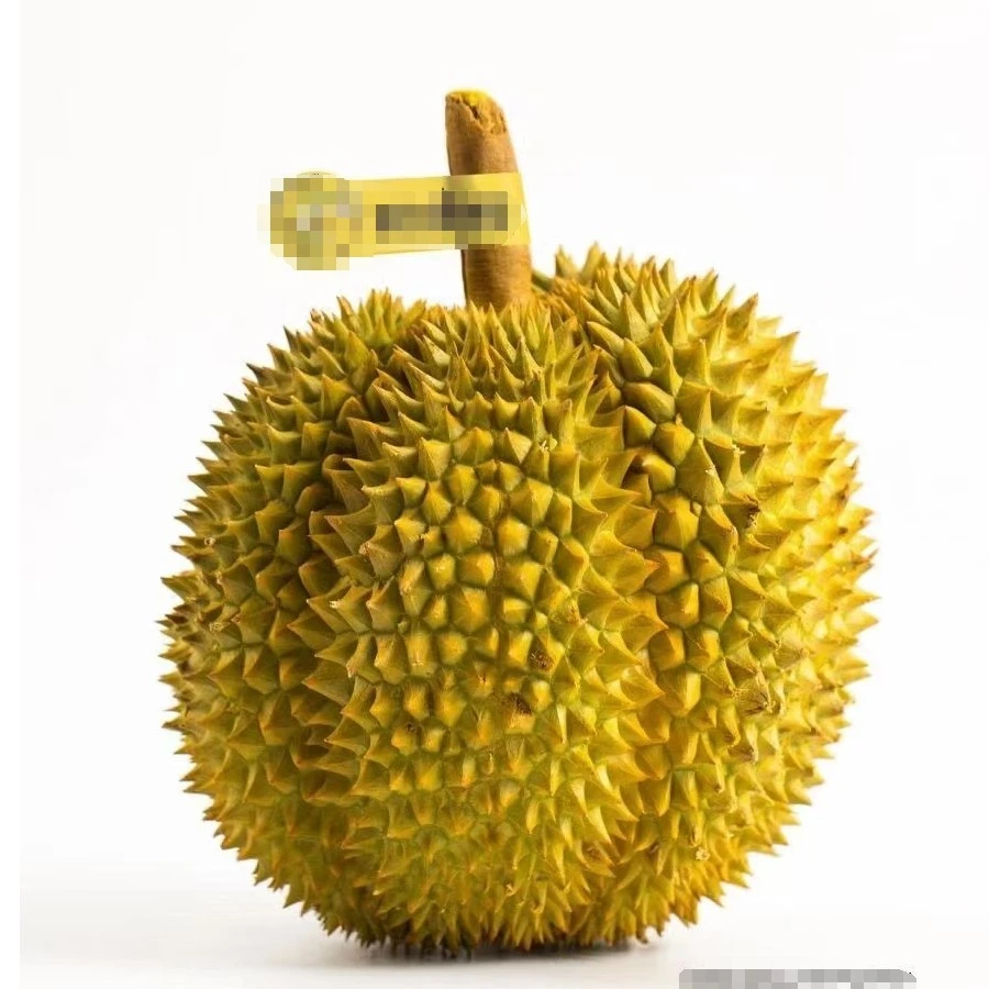 泰国金枕榴莲无售后