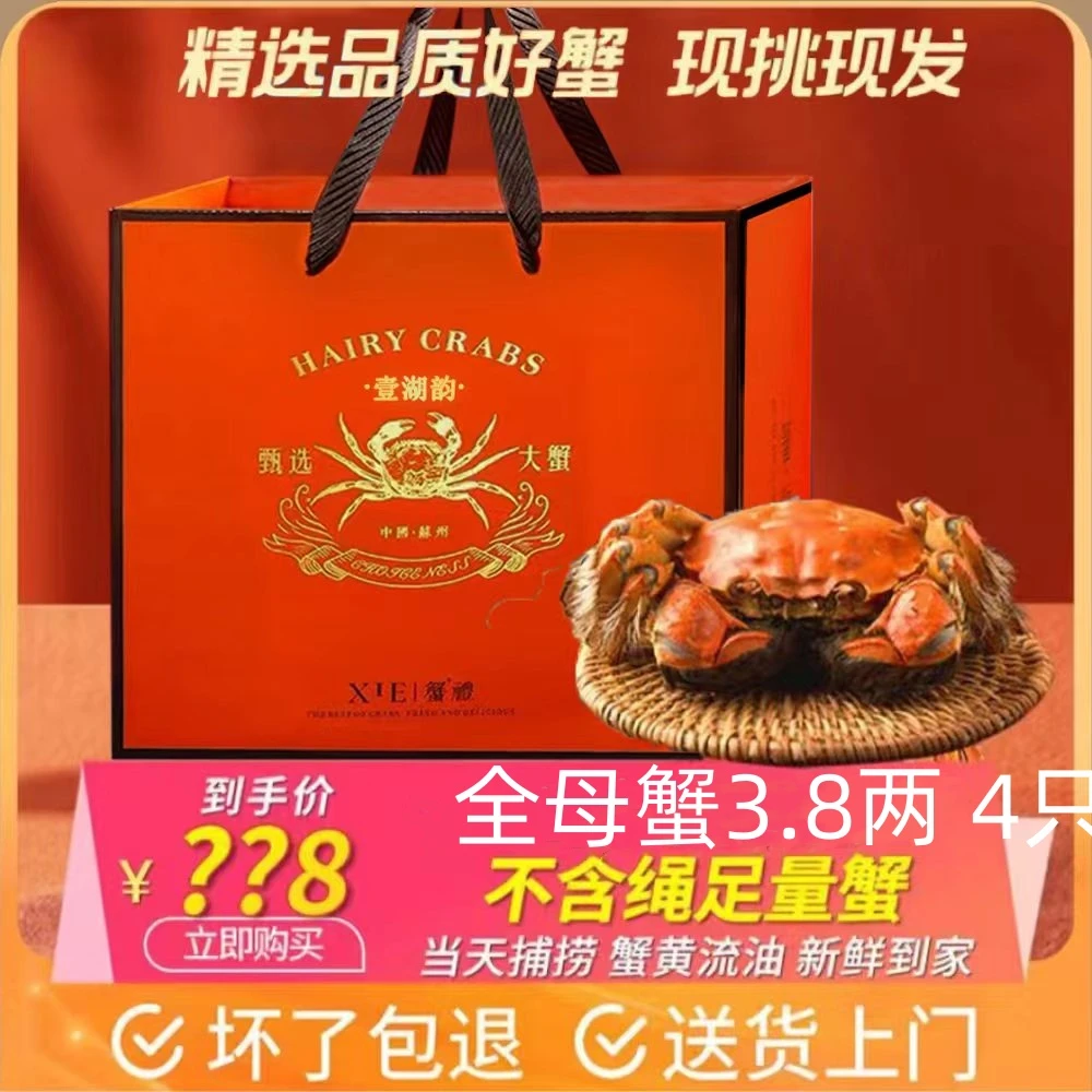 壹湖韵【活蟹现货】鲜活当天现捕大闸蟹全母蟹3.8两4只