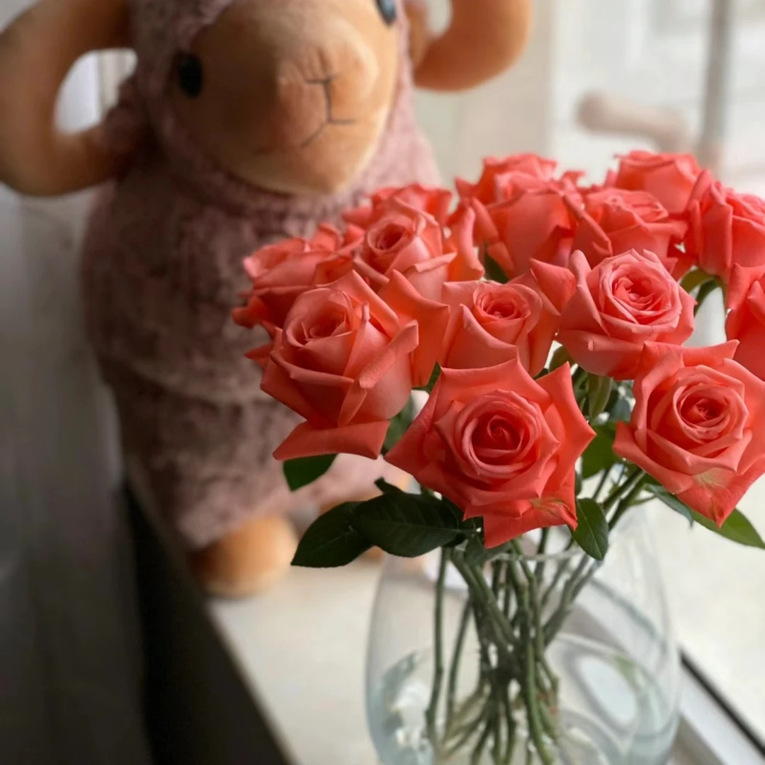 zb【影星】新森林高品质单头玫瑰家庭日常生活插花