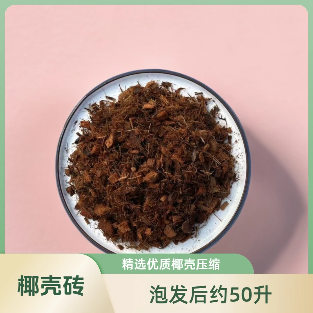 低盐椰壳砖保湿透气