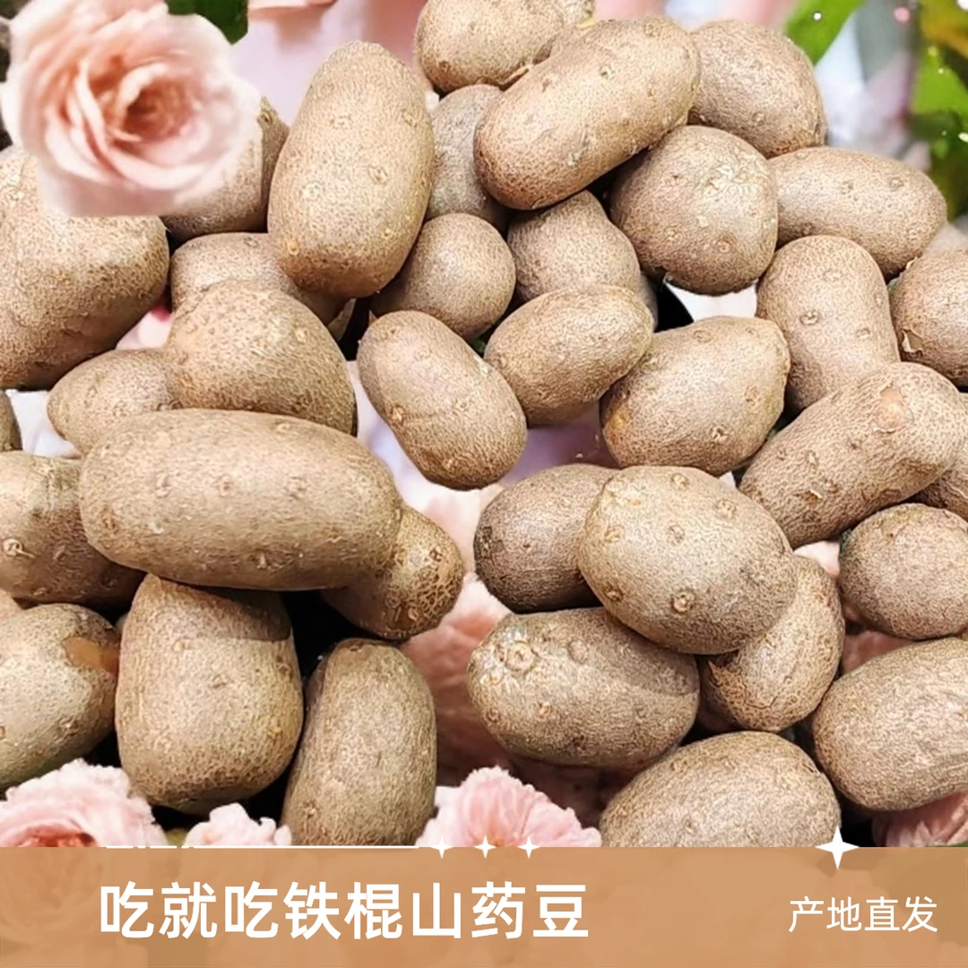 山药豆正宗精选铁棍山药豆河南焦作淮山豆山药豆批发新鲜山药豆