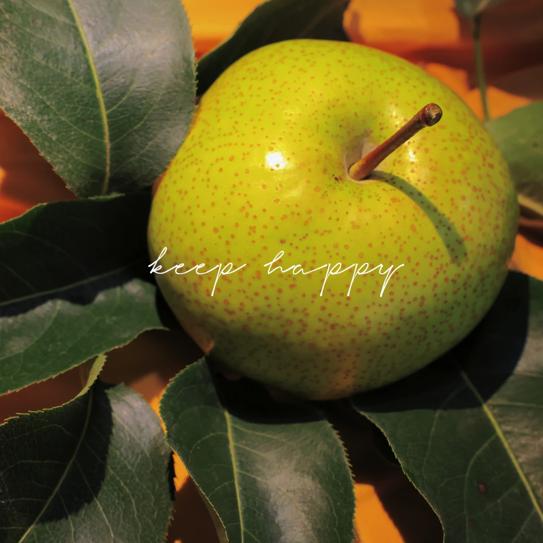 2025年延边苹果梨 7斤左右/1箱 12个果 包邮 脆甜多汁