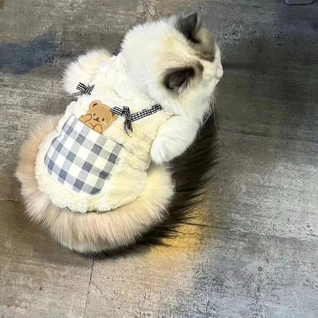 2026新款猫咪衣服秋冬宠物蓝猫英短布偶保暖加厚服饰可爱狗狗衣服