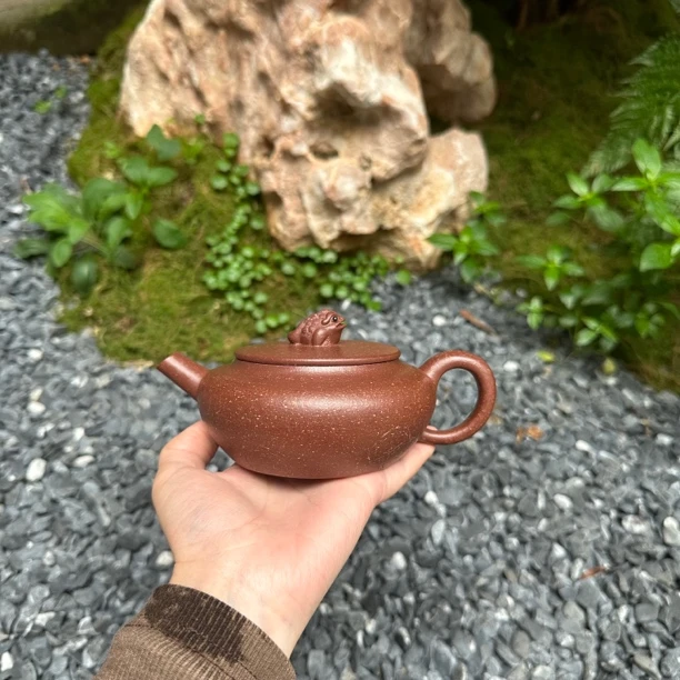 金蟾纳福壶 24目老紫泥 许华良全手工制作 240cc