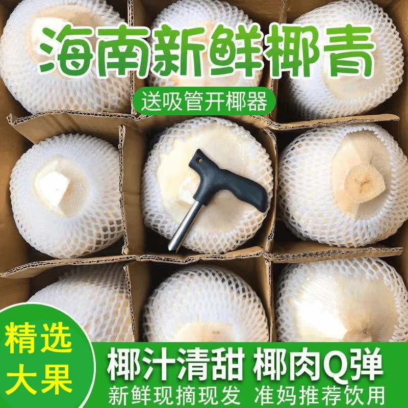【现摘现发】海南文昌新鲜椰子青孕妇水果东郊椰林当天去皮发货特大