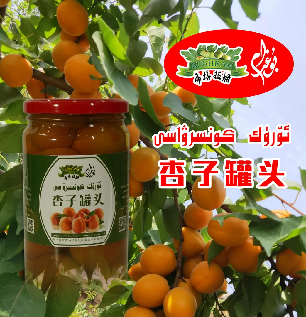 【新疆阿图什特产】杏子罐头1000克*1瓶丨划算丨零添加