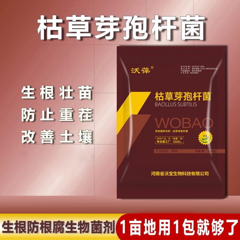 沃葆枯草芽孢杆菌正品高活性防根腐枯萎青枯病土传病害微生物菌剂