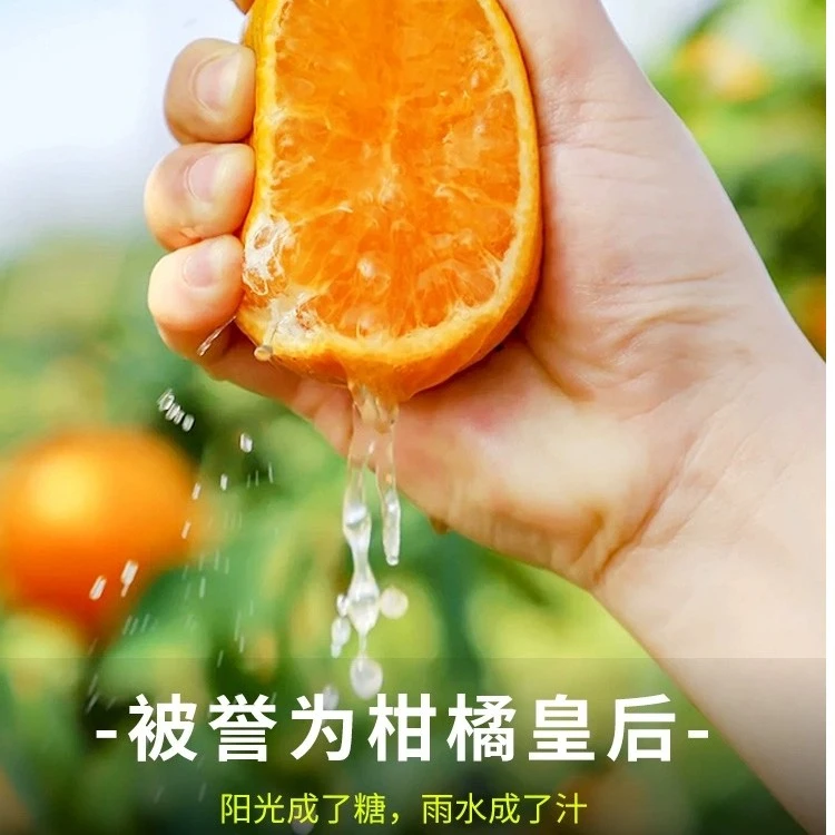 广西正宗砂糖桔《成熟现摘》5/9/18斤新鲜发货颗粒饱满皮薄