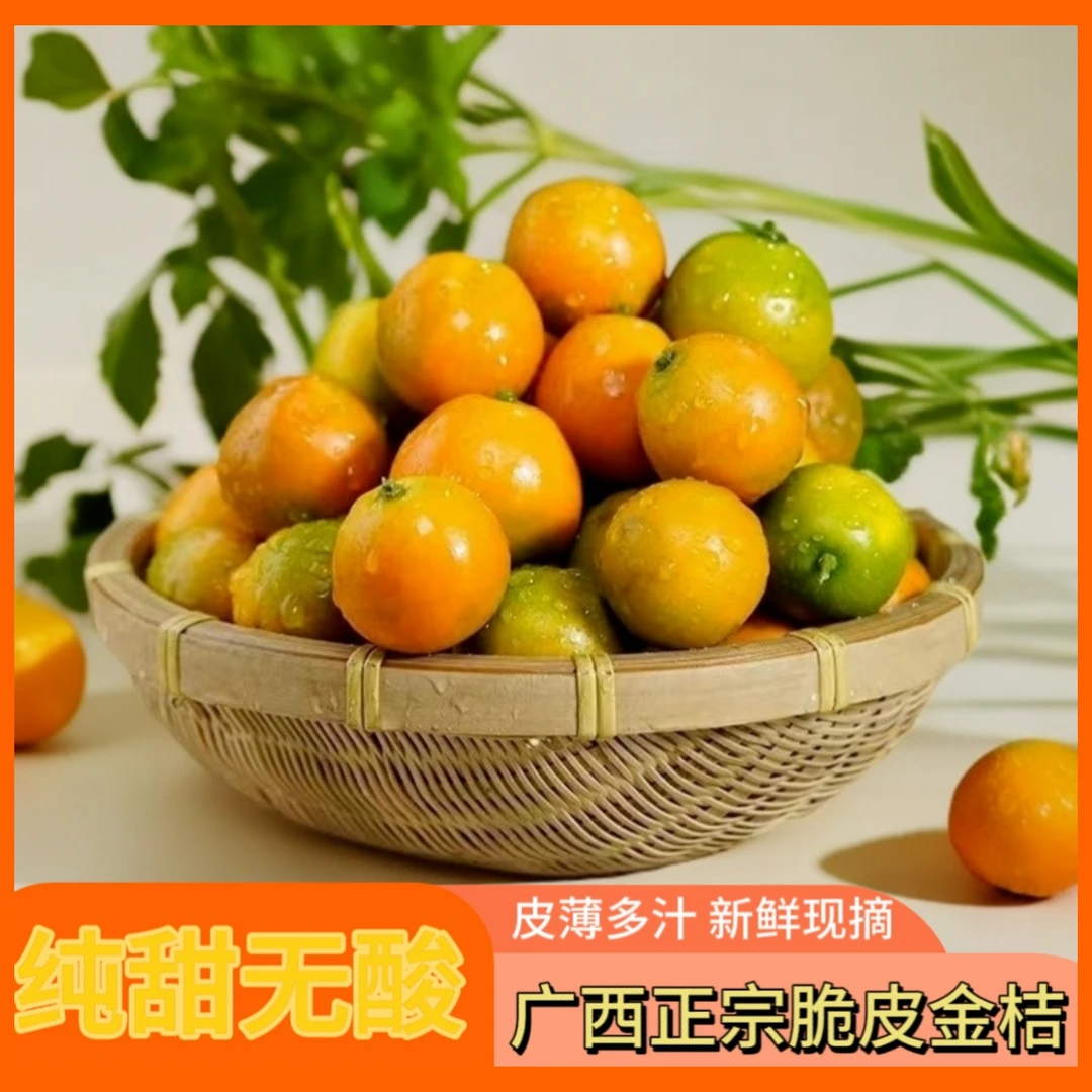 广西融安【纯甜冰糖心】脆皮金桔滑皮金桔应季水果