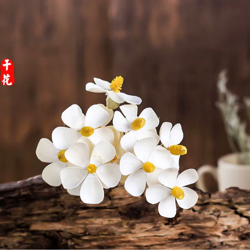 紫罗兰干花花束手工花简约小清新家居装饰摆件