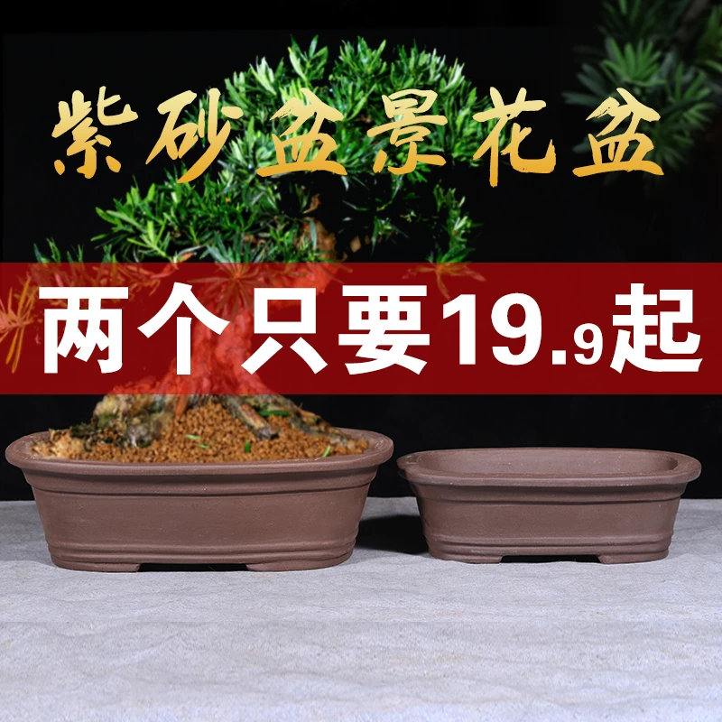 花盆2021新款紫砂长方形盆景专用花盆大号陶瓷花盆热销榜