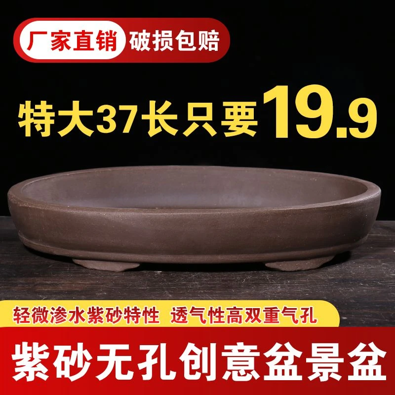 紫砂无孔花盆大口径水培花盆大号底部无孔陶瓷铜钱草花盆