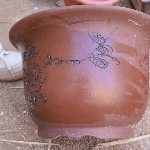 紫砂20CM（含）-50CM（不含）平角金钟30