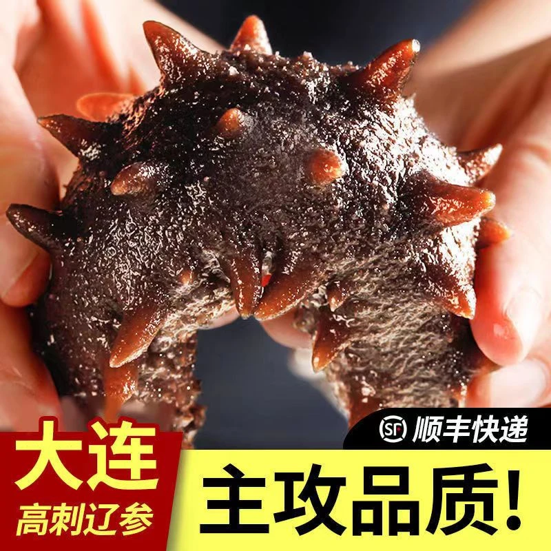【双11福利买1斤送1斤】大连深海刺参鲜食海参8-12头/斤到手20左右