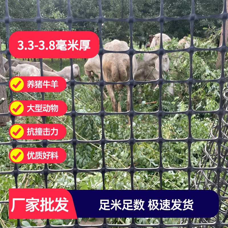 塑料围栏网特厚养殖猪牛羊大型动物方形网格防护网黑色胶网