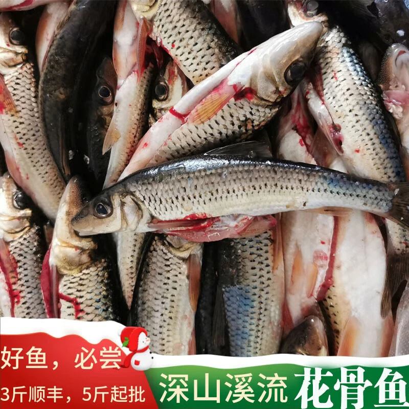 花骨鱼 小河鱼野钓 麻鱼新鲜杀好发货棍子鱼激浪鱼