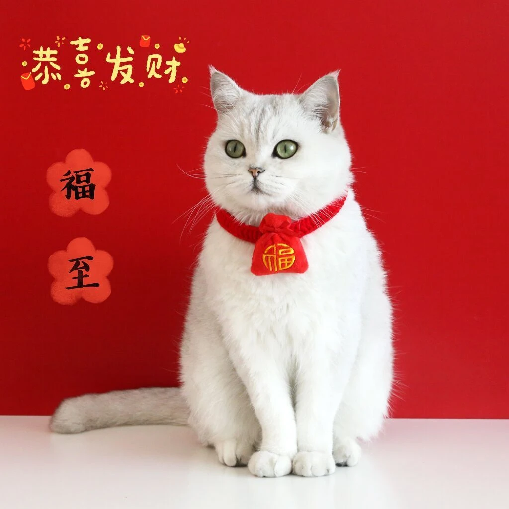 新年猫咪项圈手工编织宠物过年喜庆围脖宠物挂饰红色可爱装饰品