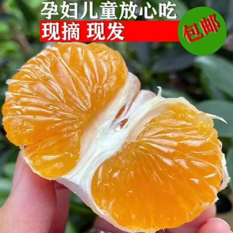 【南丰千年贡橘】10年老树自然熟零添加更健康现摘现发包邮到家