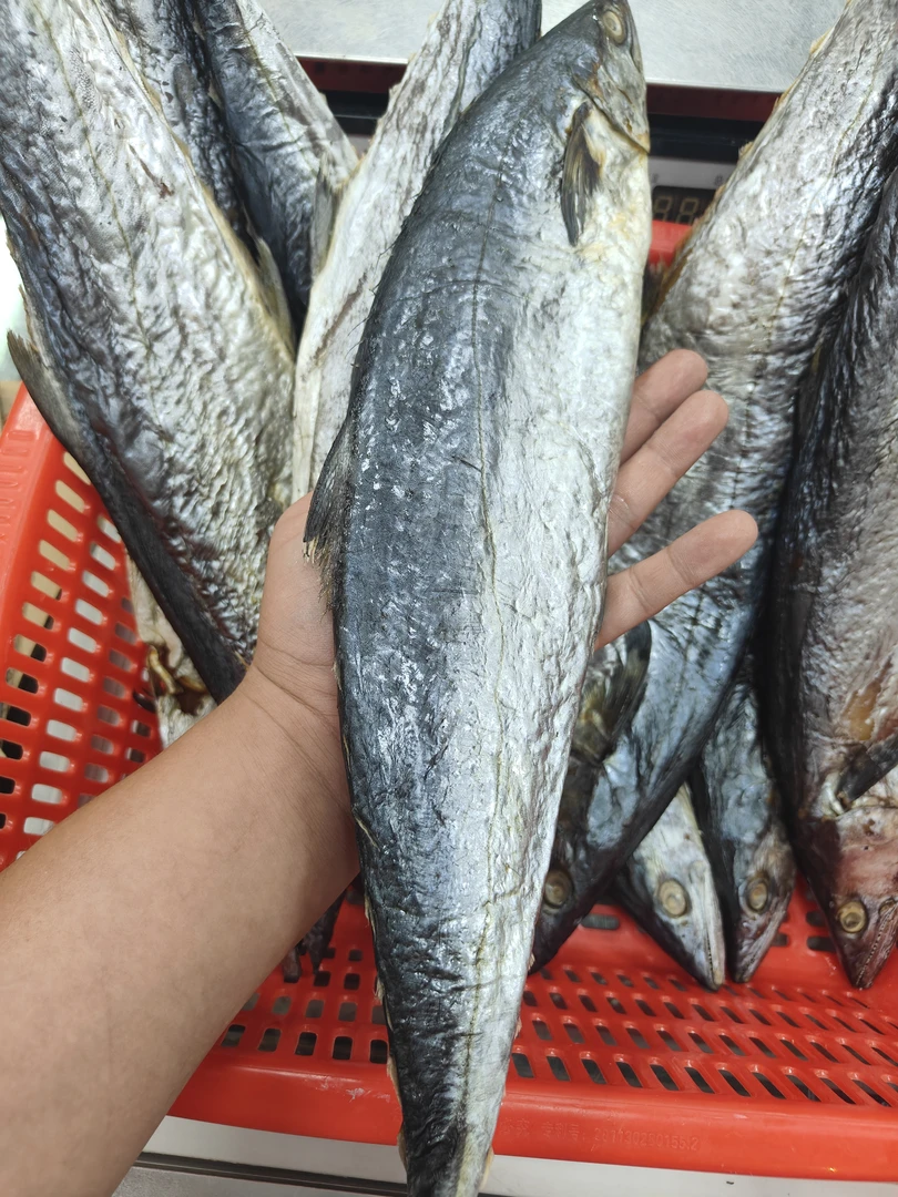 【实肉干马鲛脯】潮汕汕尾本港咸马鲛鱼脯每条1.5斤~2.5 斤)(9成干)