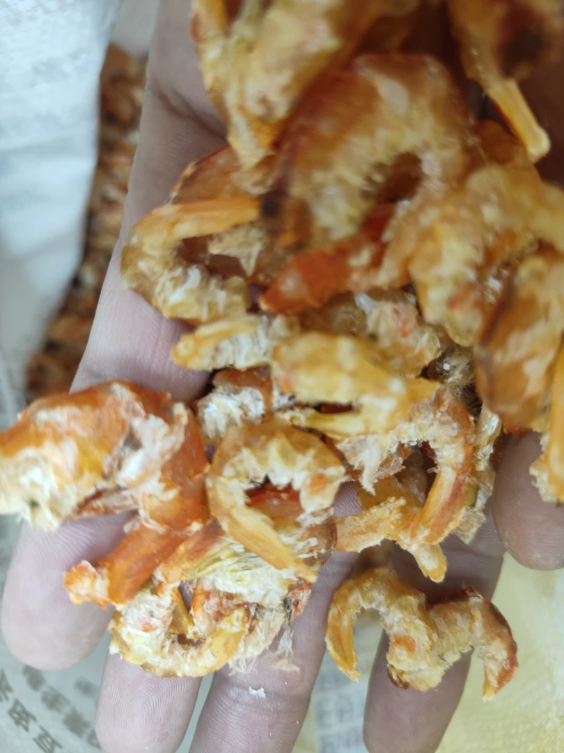 广东汕尾港卢虾米野的海虾米(鲜甜好吃)(淡晒足干)