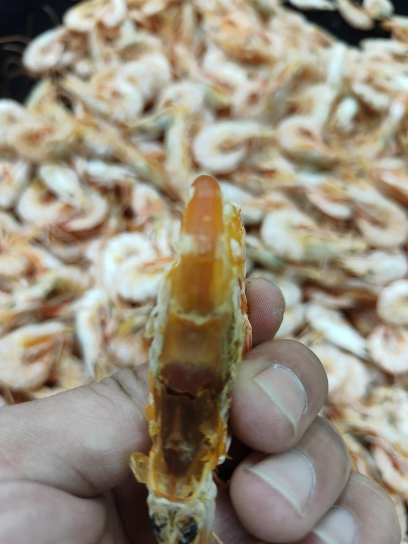 广东潮汕汕尾港活晒大号沙卢虾脯麻虾脯红须虾脯(带膏满膏超好吃)