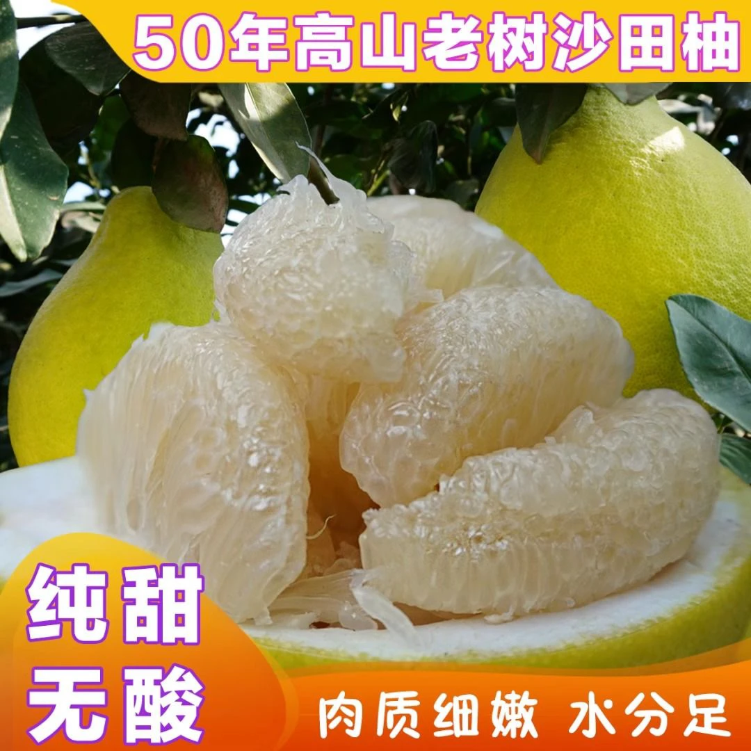 产地直发 正宗江永老树沙田柚50年纯甜无酸4-30大果