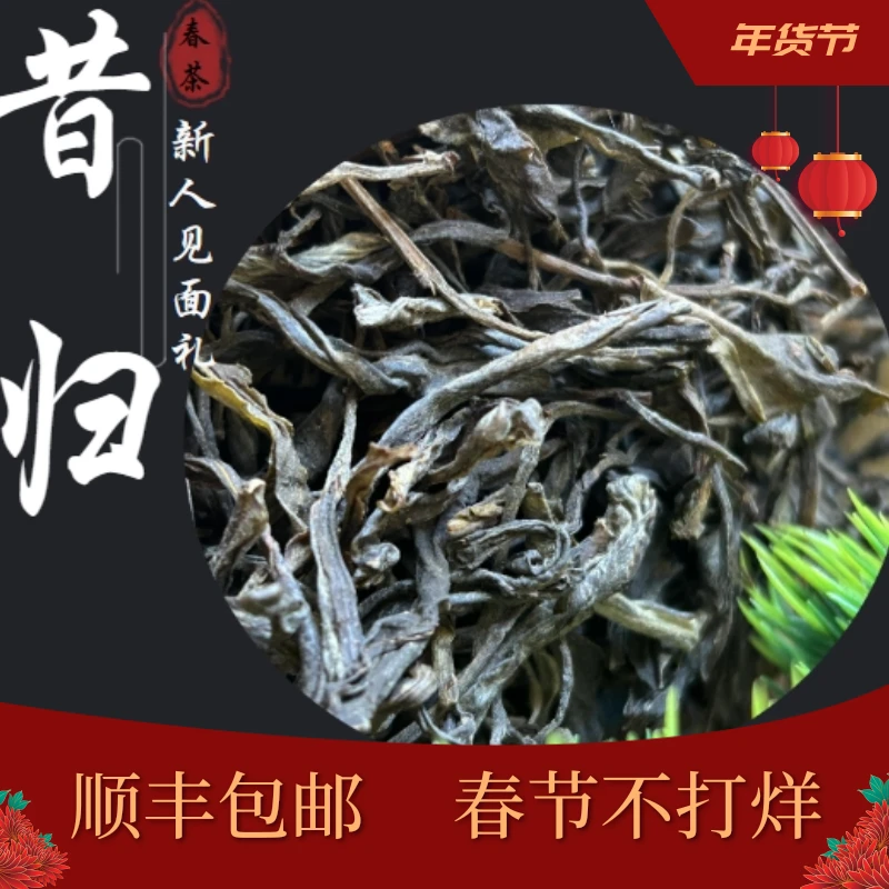 新人见面礼—鲜 2023年昔归生茶老寨古树纯料春茶