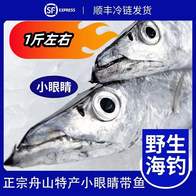 1.3斤/条3条4斤正宗舟山小眼睛鹰钩嘴野生海钓带鱼肉质鲜嫩 清蒸