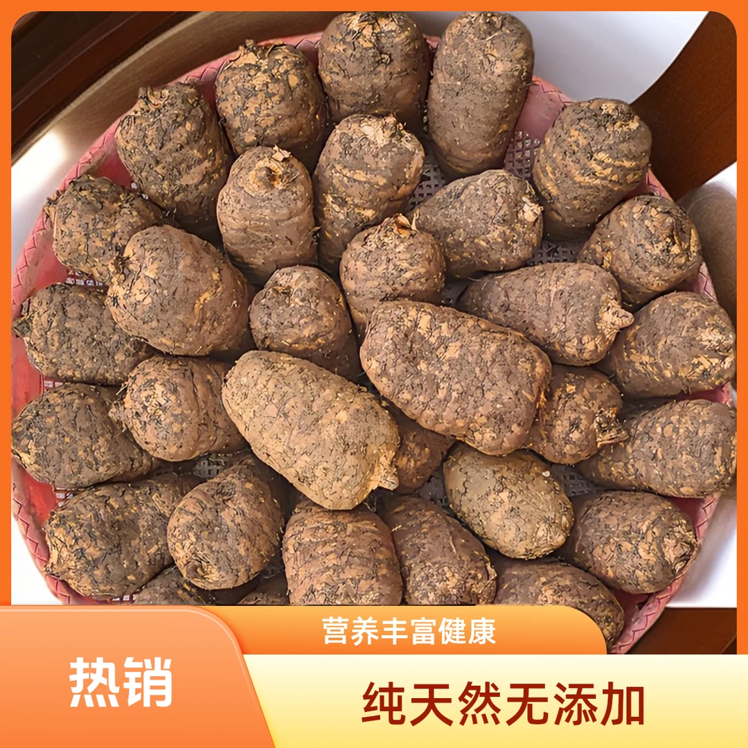 正宗云南昭通小草坝深山天麻纯天然原生态天麻现采现挖自产自销