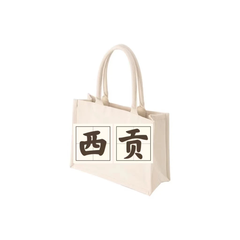 2西宫竹节手柄包单肩斜挎手提女款摄影包A02