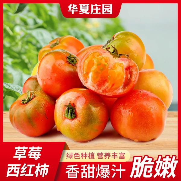 铁皮柿子草莓西红柿水果番茄山东基地直发5斤