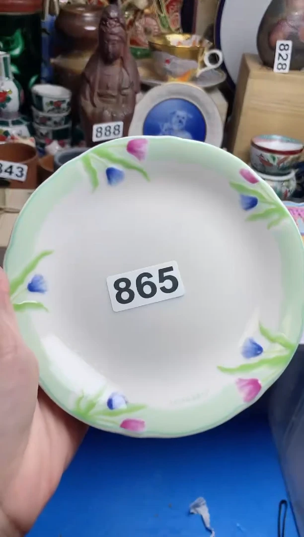 【闪购商品】密胺瓷片865
