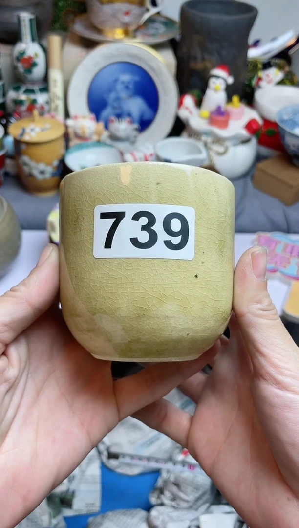 【闪购商品】密胺瓷片739
