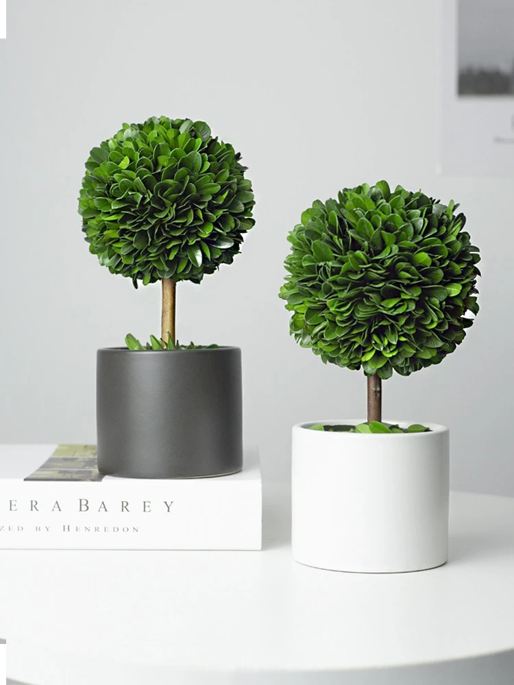 【永生绿植】黄杨叶球 无需浇水打理 三年不枯萎