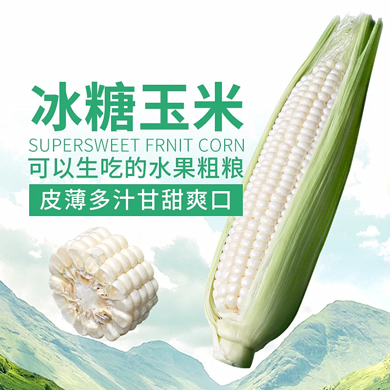 （可生吃不甜包退）新鲜牛奶水果玉米3.5-4斤/6根装