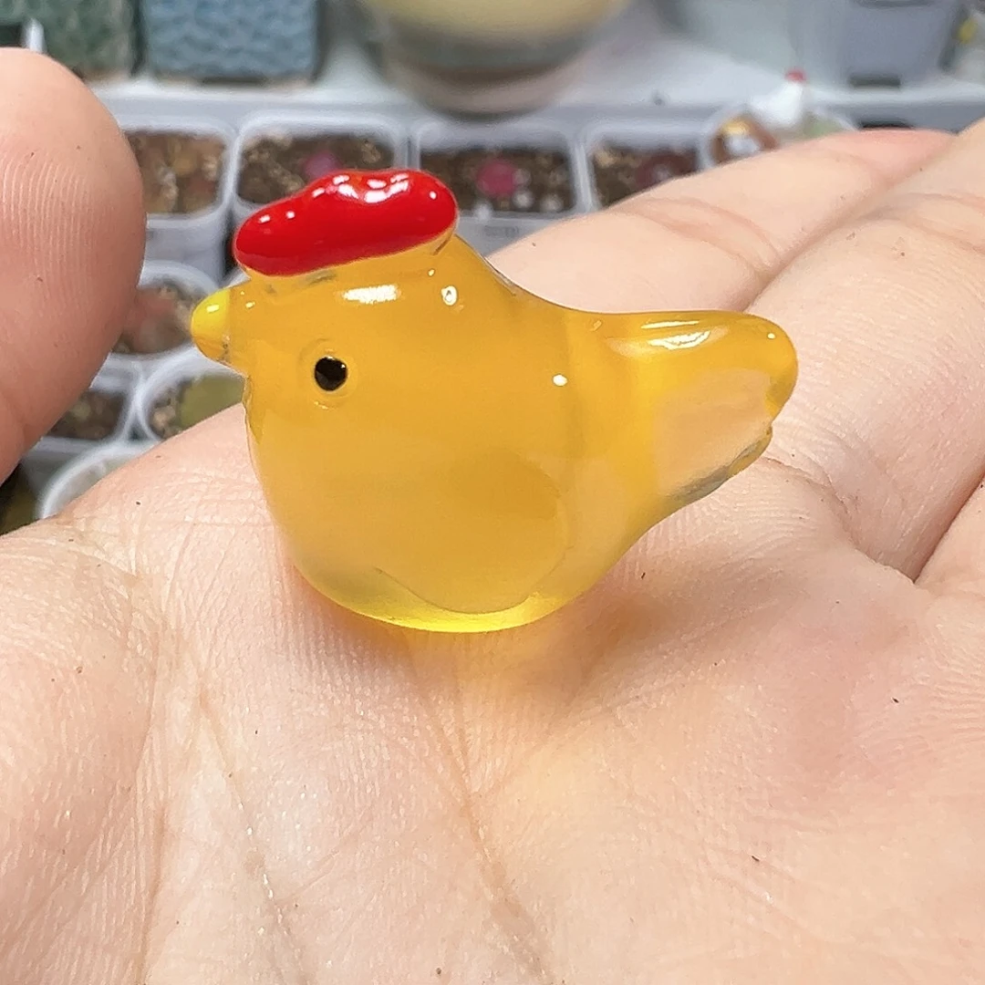 多肉植物实付满9.9包邮325压盆石