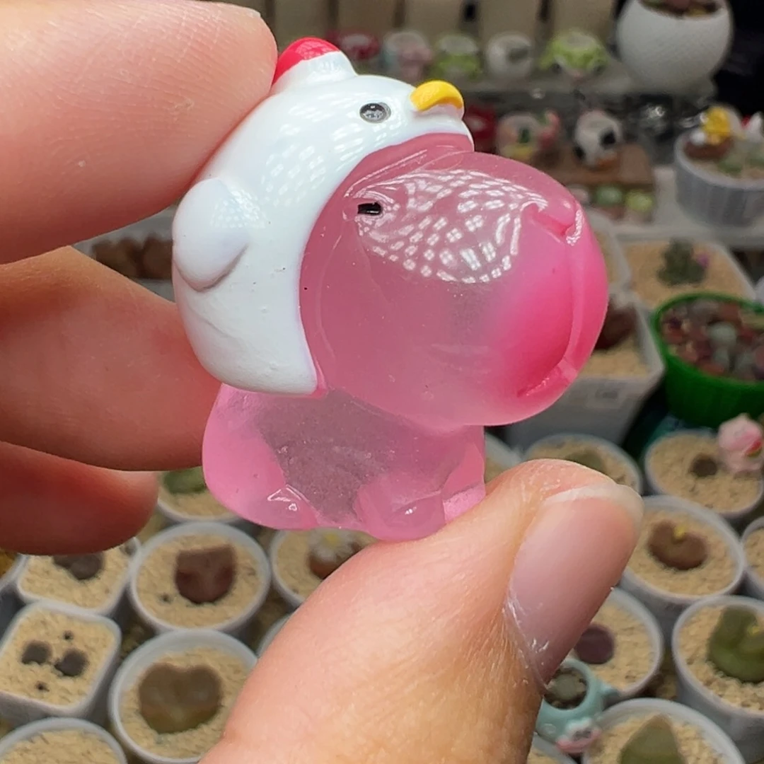 多肉植物实付满9.9包邮139