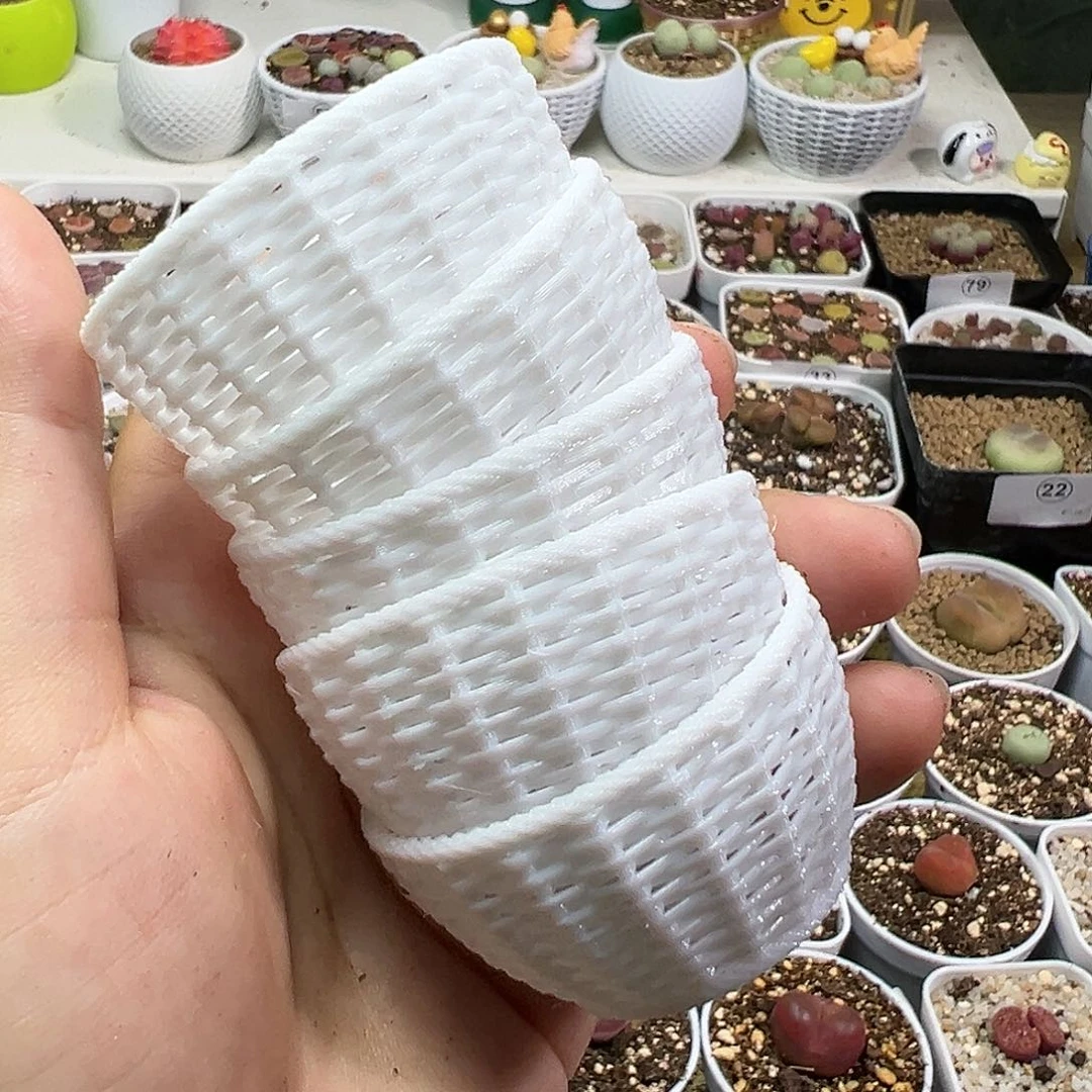 多肉植物实付满9.9包邮97