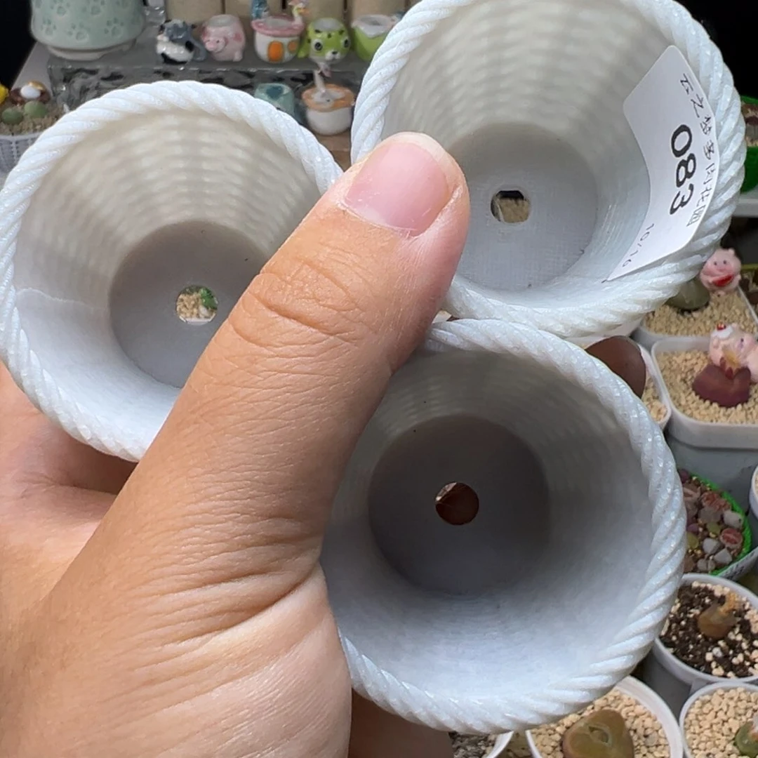 多肉植物实付满9.9包邮126夜光花盆