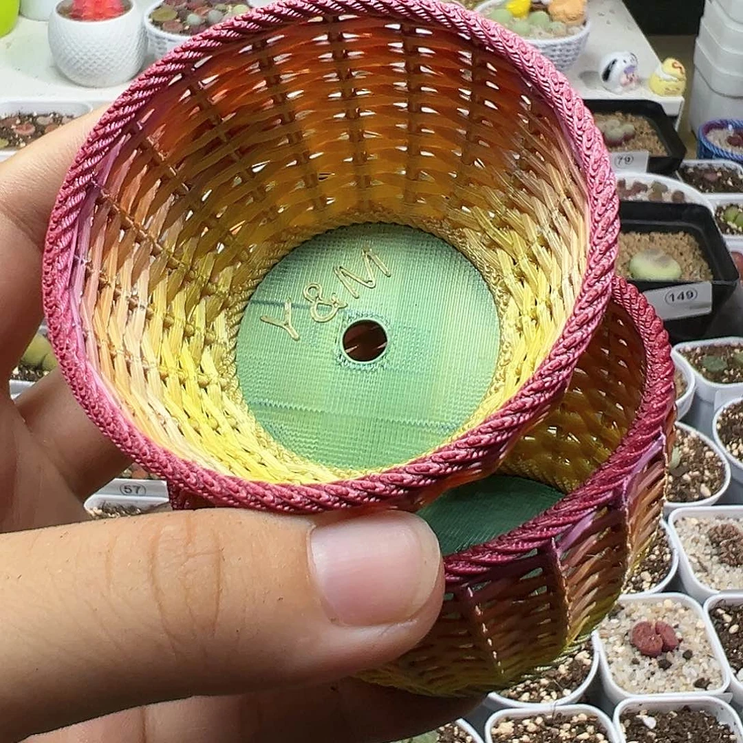 多肉植物实付满9.9包邮107