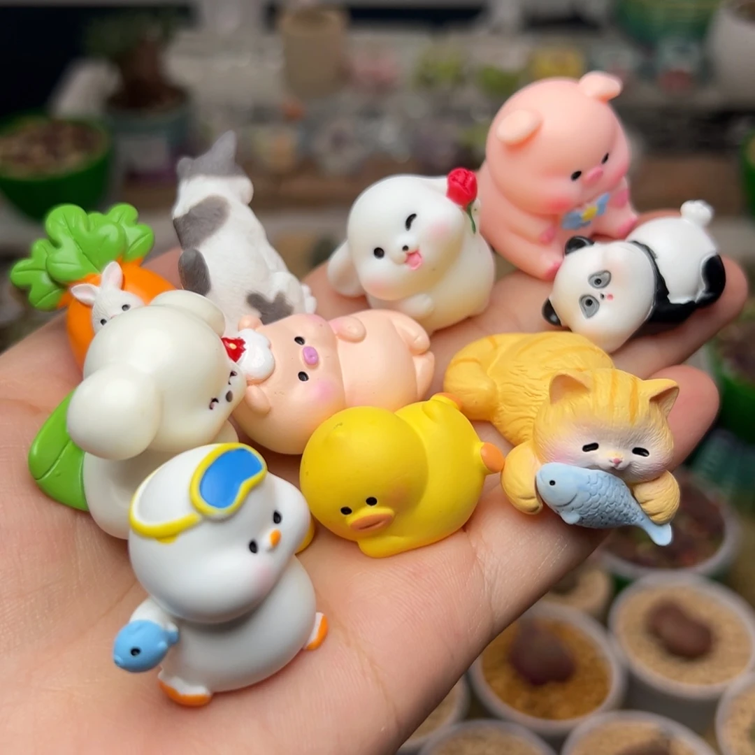 多肉植物实付满9.9包邮115